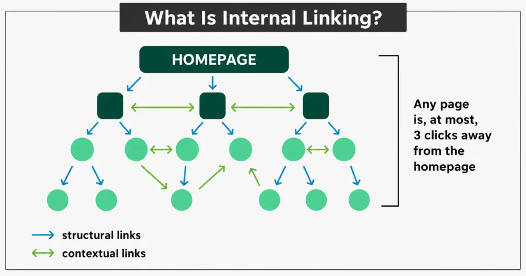 Internal linking structure diagram showing homepage, category pages, and contextual links.