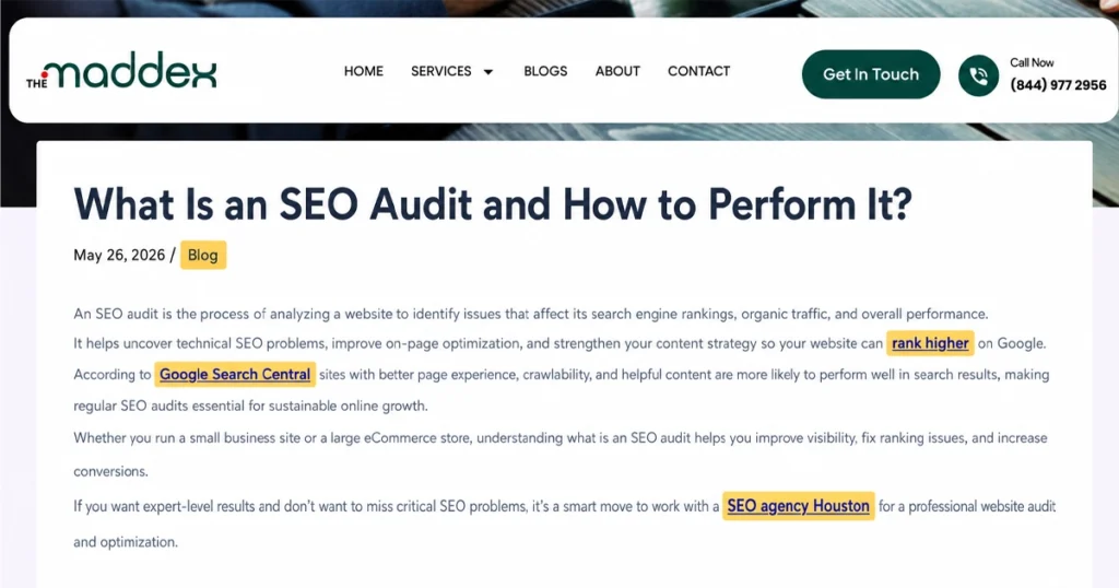 SEO audit blog page with highlighted Anchor text.