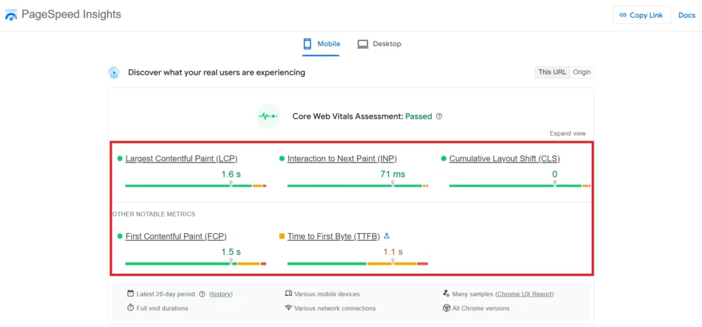 PageSpeed Insights Core Web Vitals results highlighted.